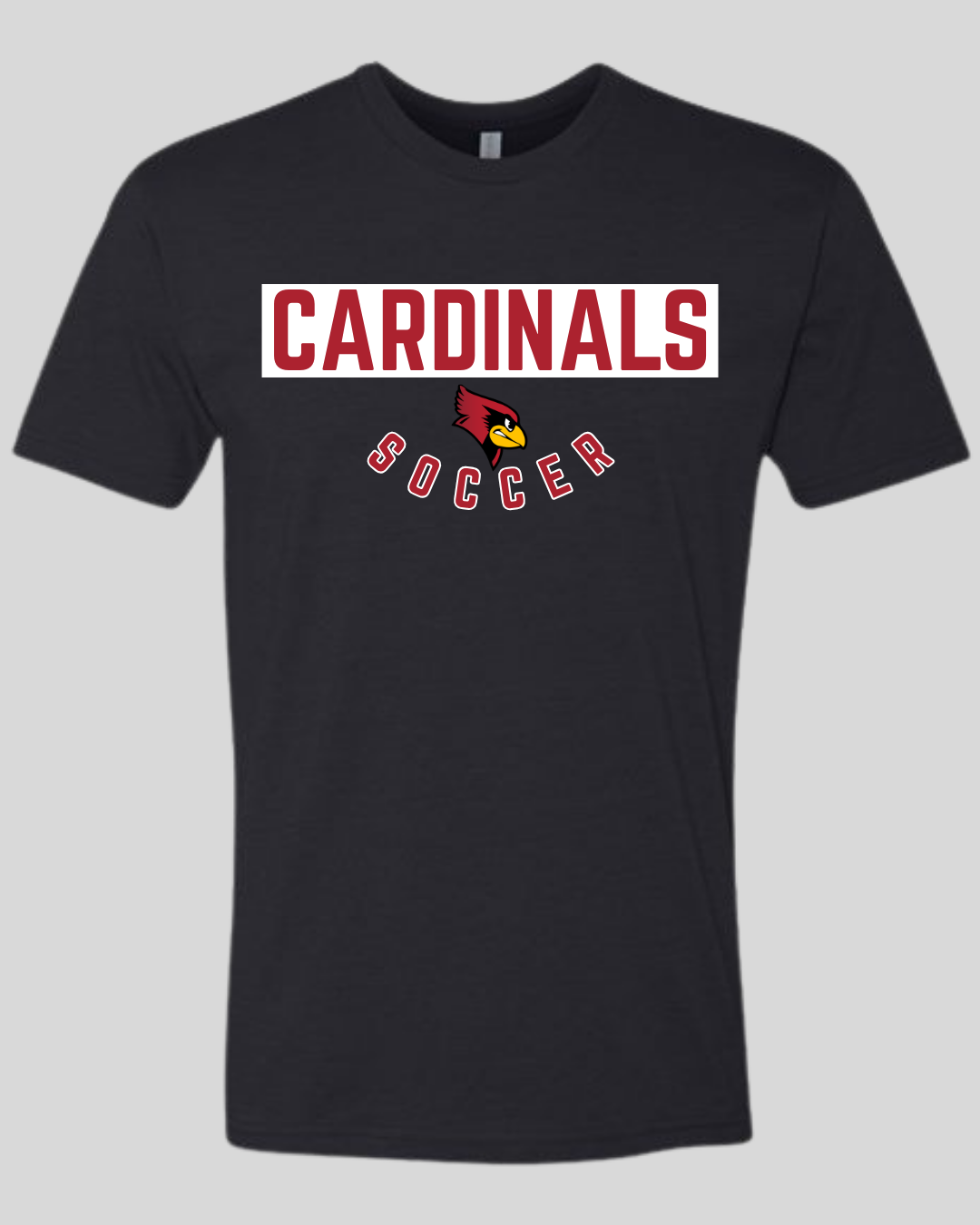 Taylor County Soccer Design #4