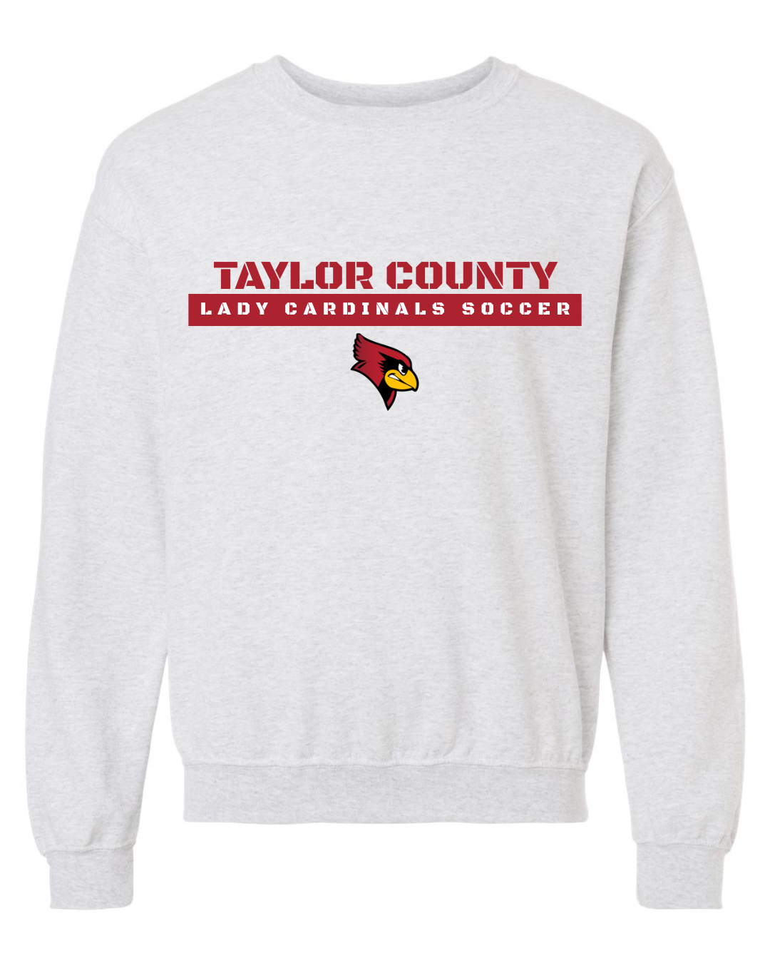 Taylor County Soccer Design #2