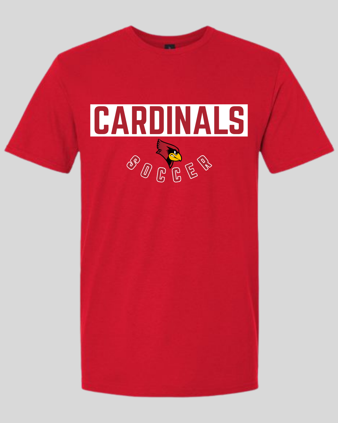 Taylor County Soccer Design #4