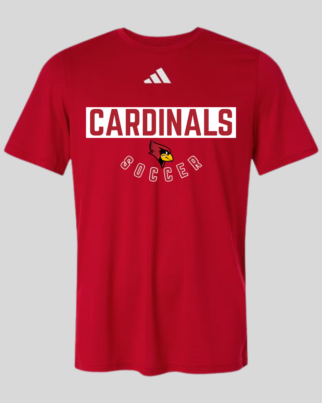 Taylor County Soccer Design #4
