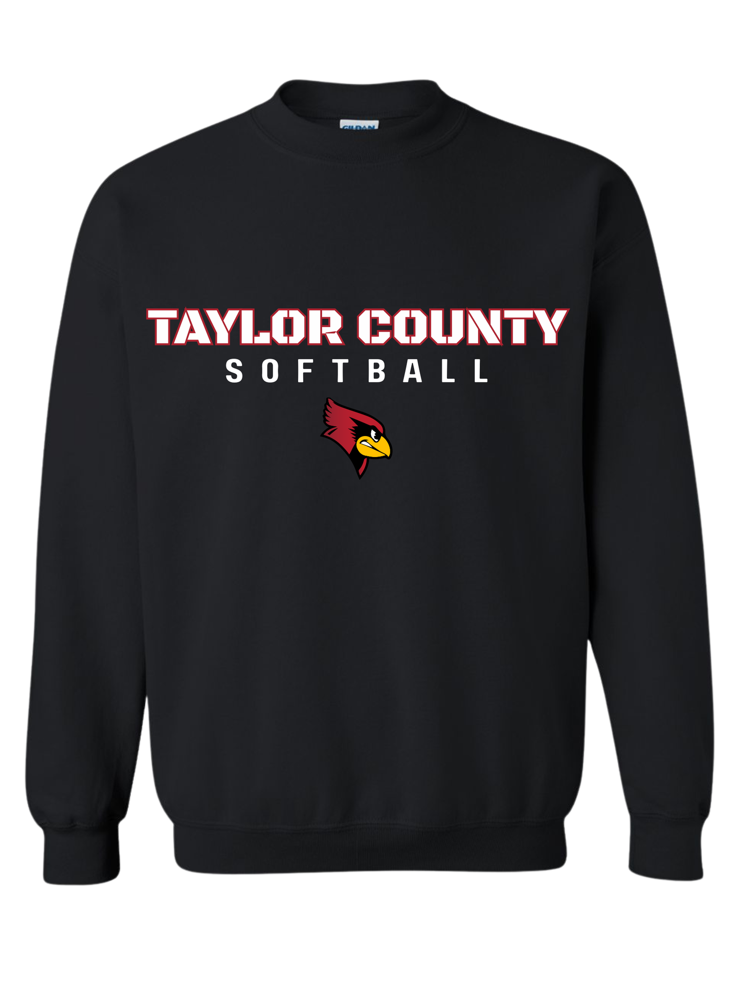 Taylor County Softball Design