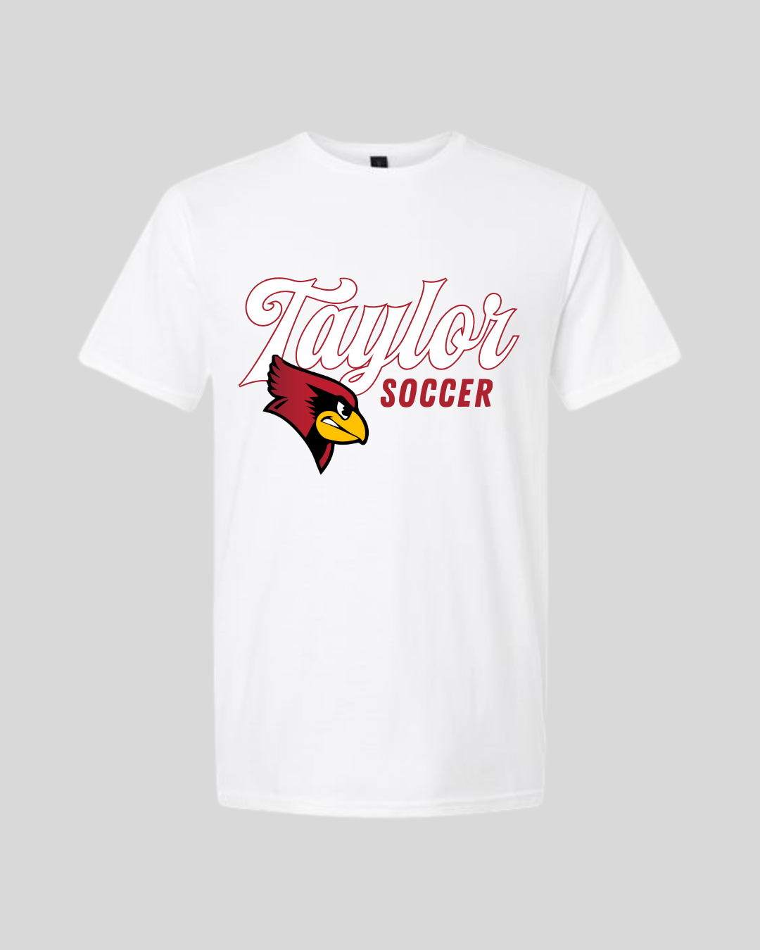 Taylor County Soccer Design #1