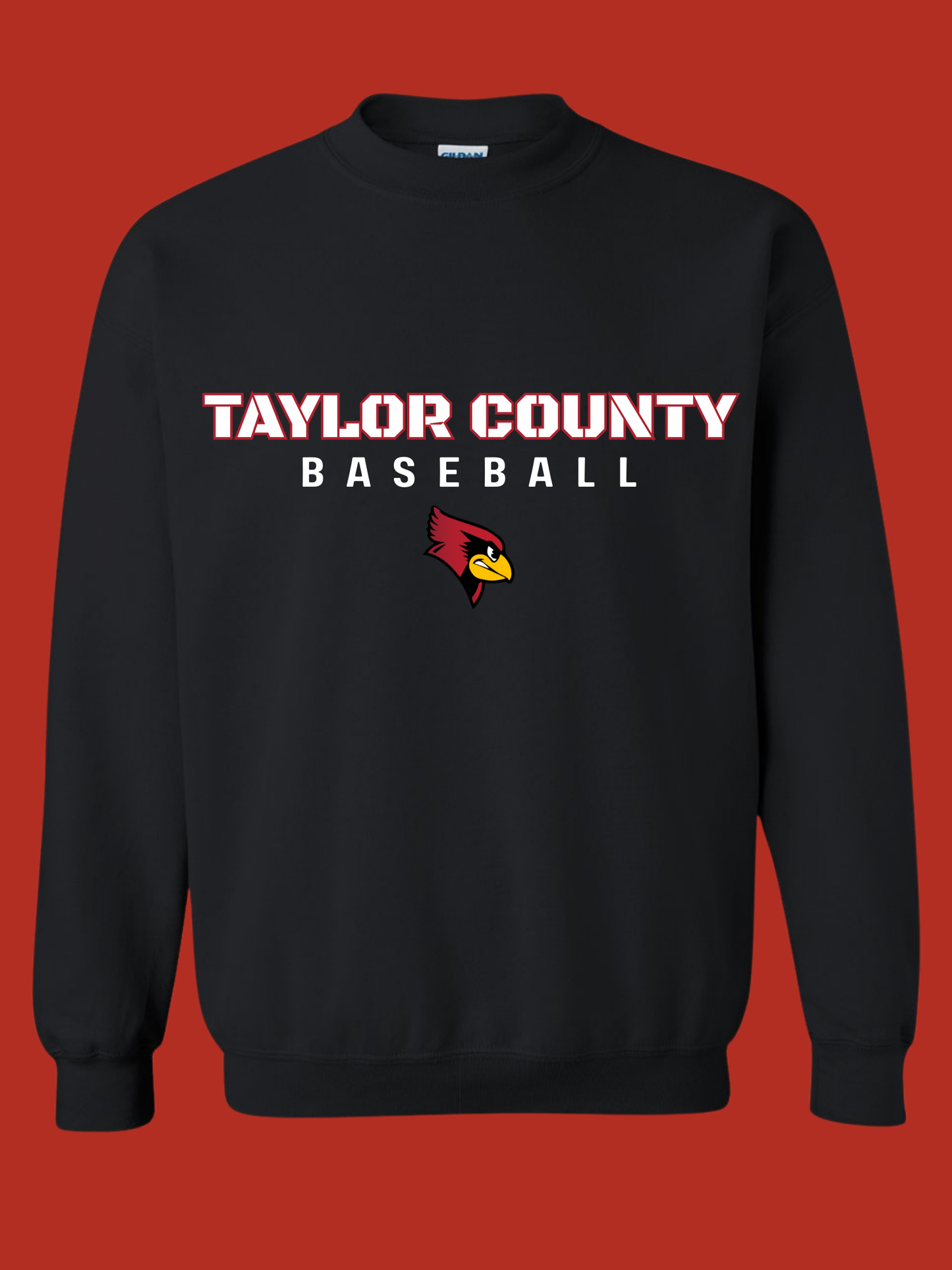 Taylor County Baseball Design