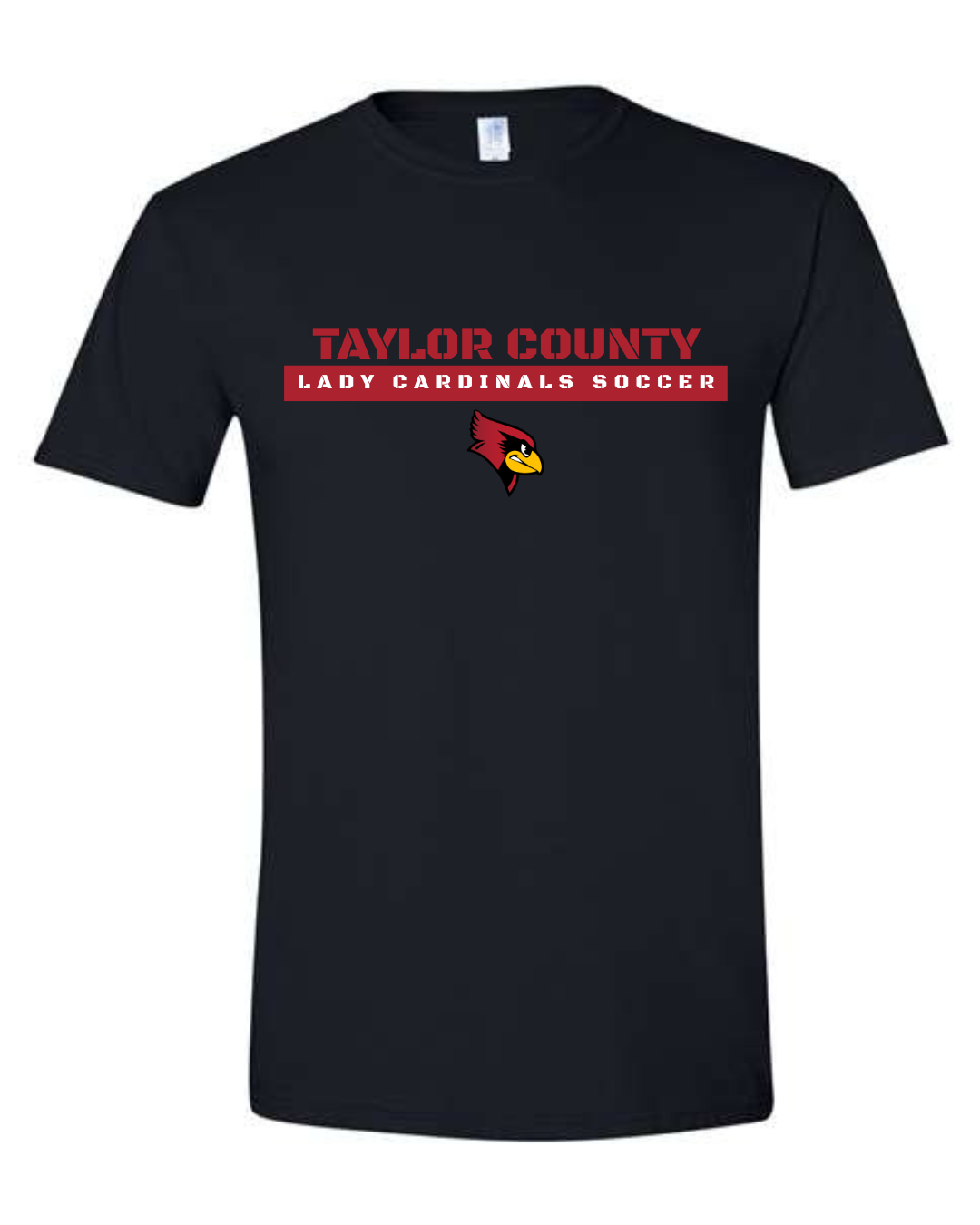 Taylor County Soccer Design #2