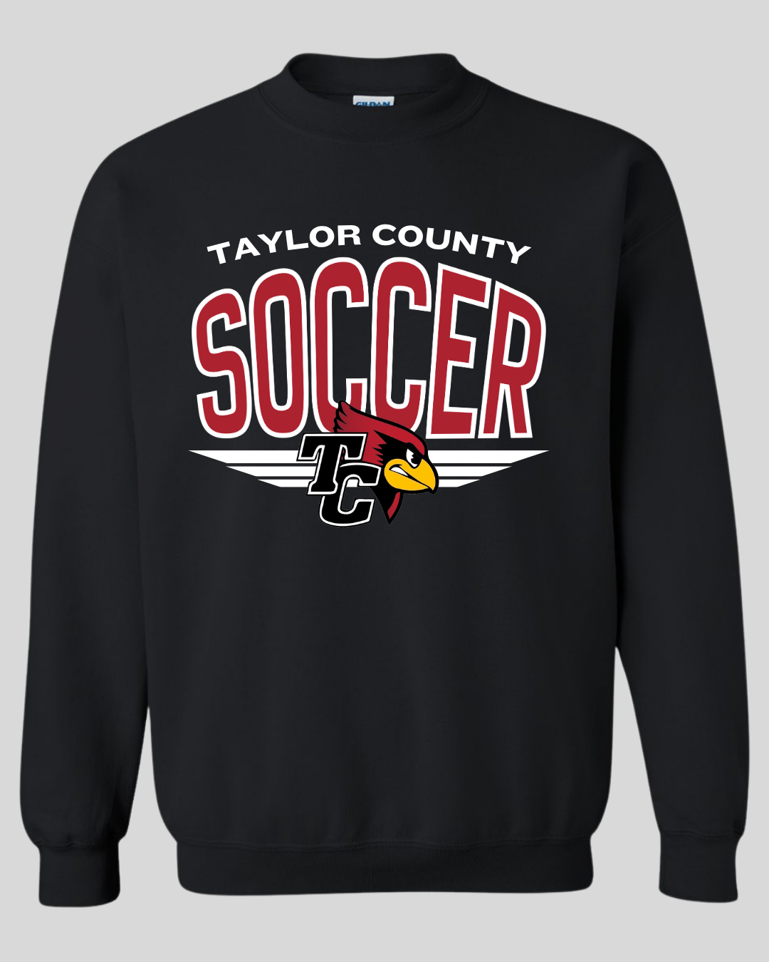 Taylor County Soccer Design #3