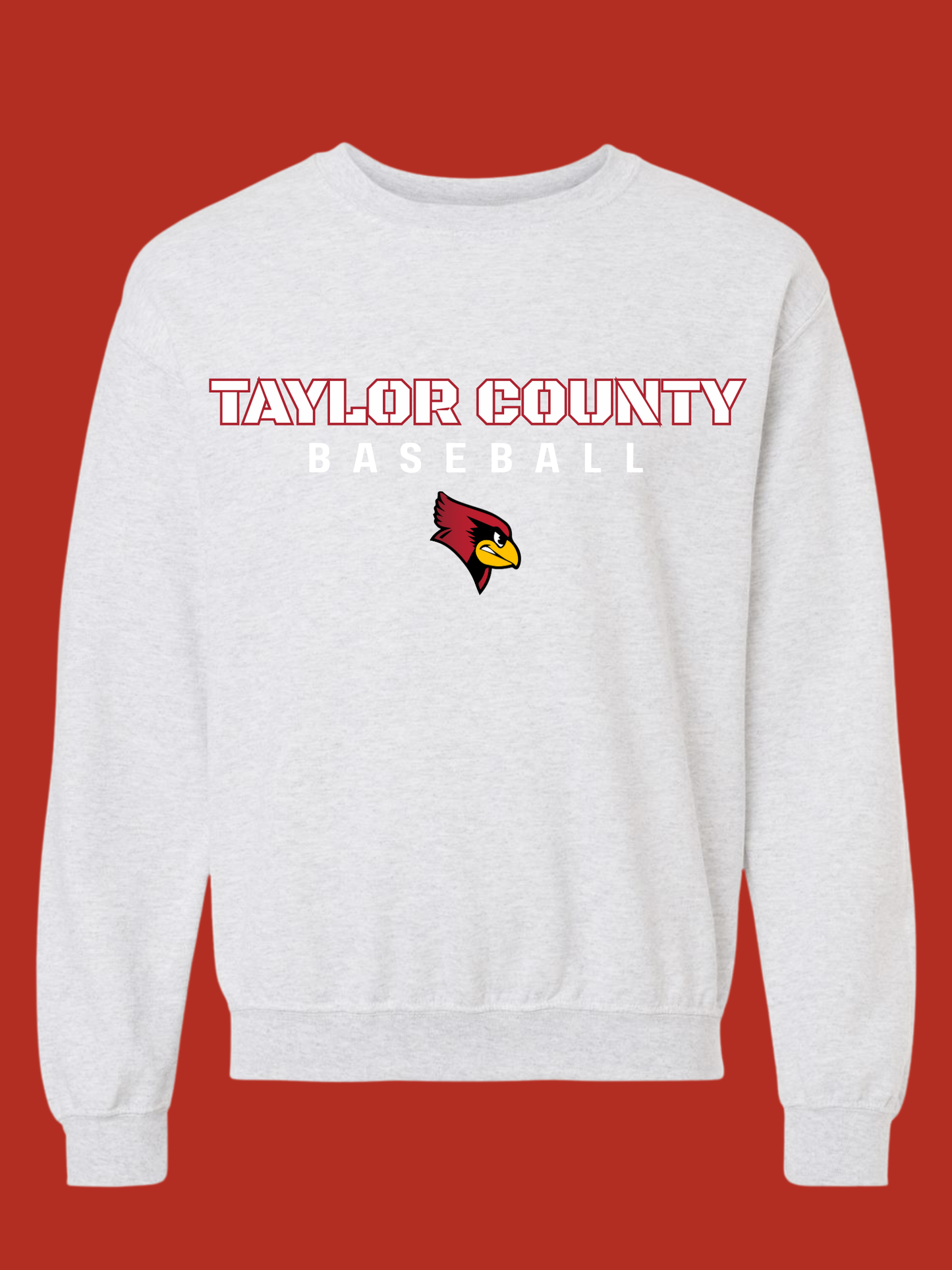 Taylor County Baseball Design