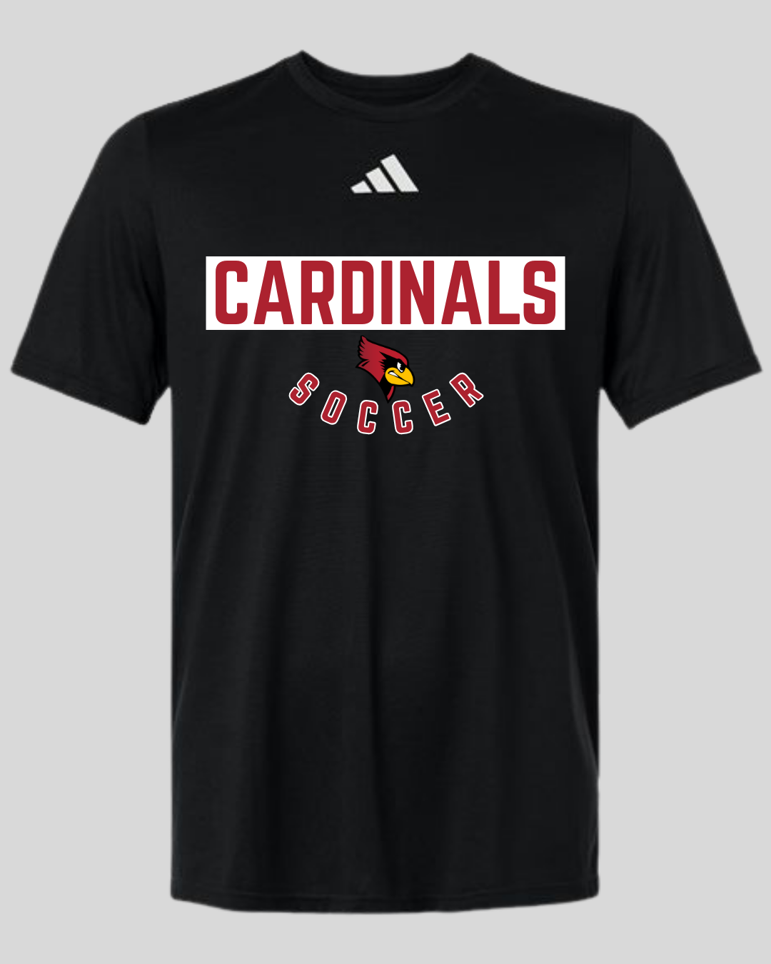 Taylor County Soccer Design #4