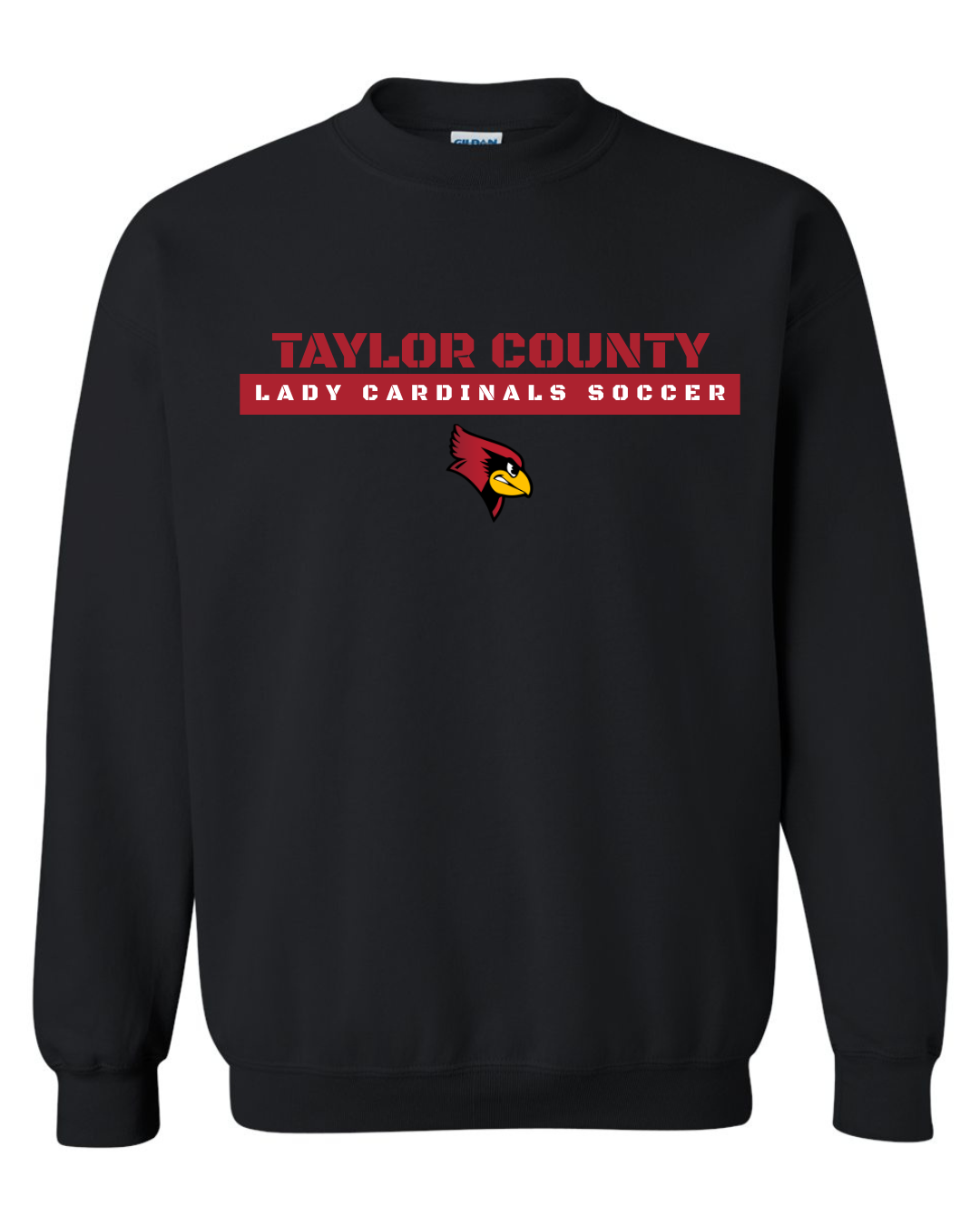 Taylor County Soccer Design #2