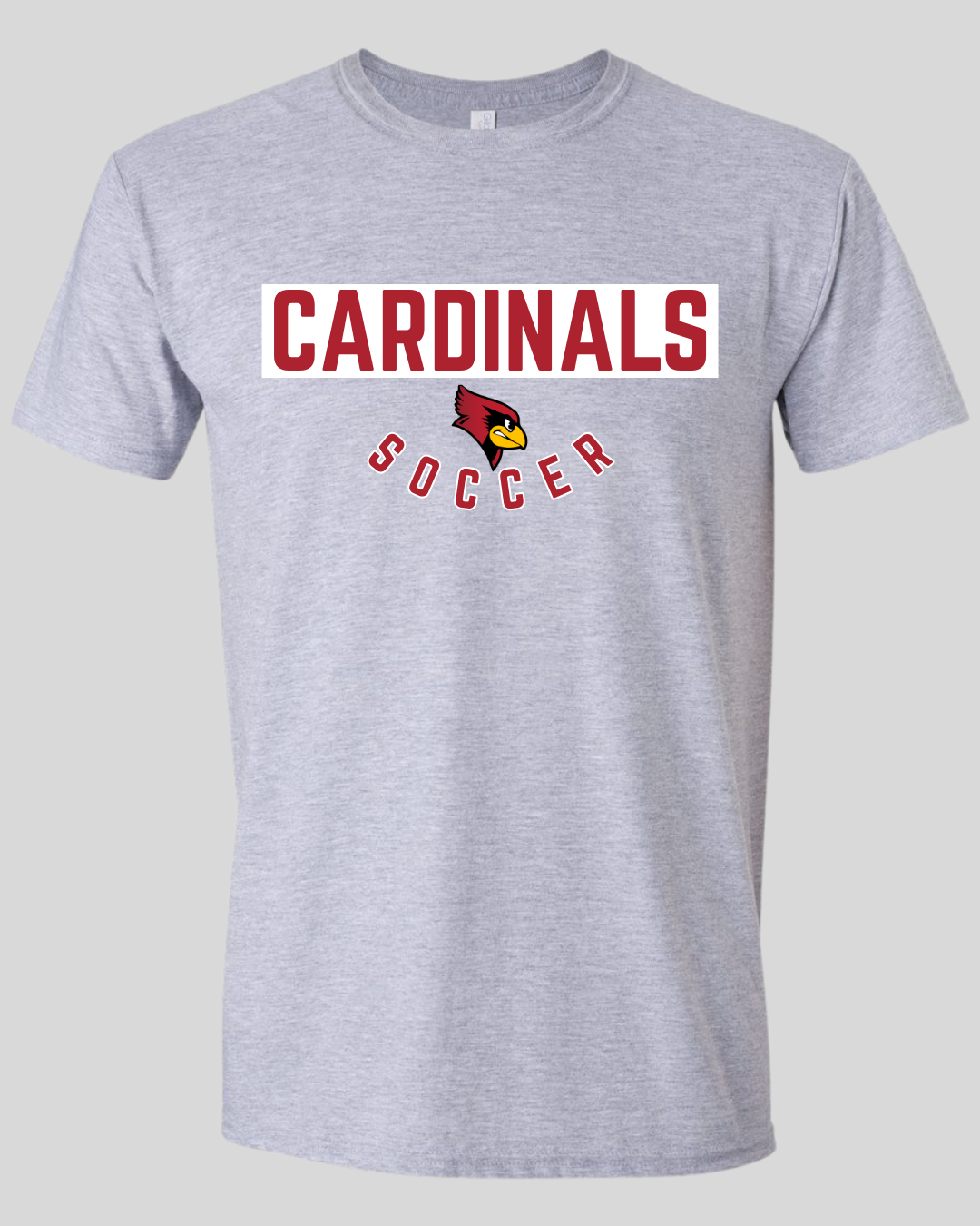 Taylor County Soccer Design #4