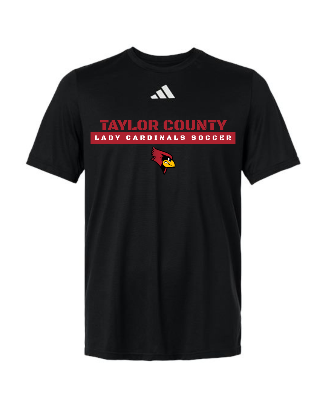 Taylor County Soccer Design #2