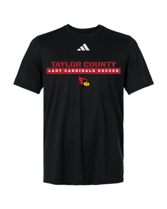 Taylor County Soccer Design #2