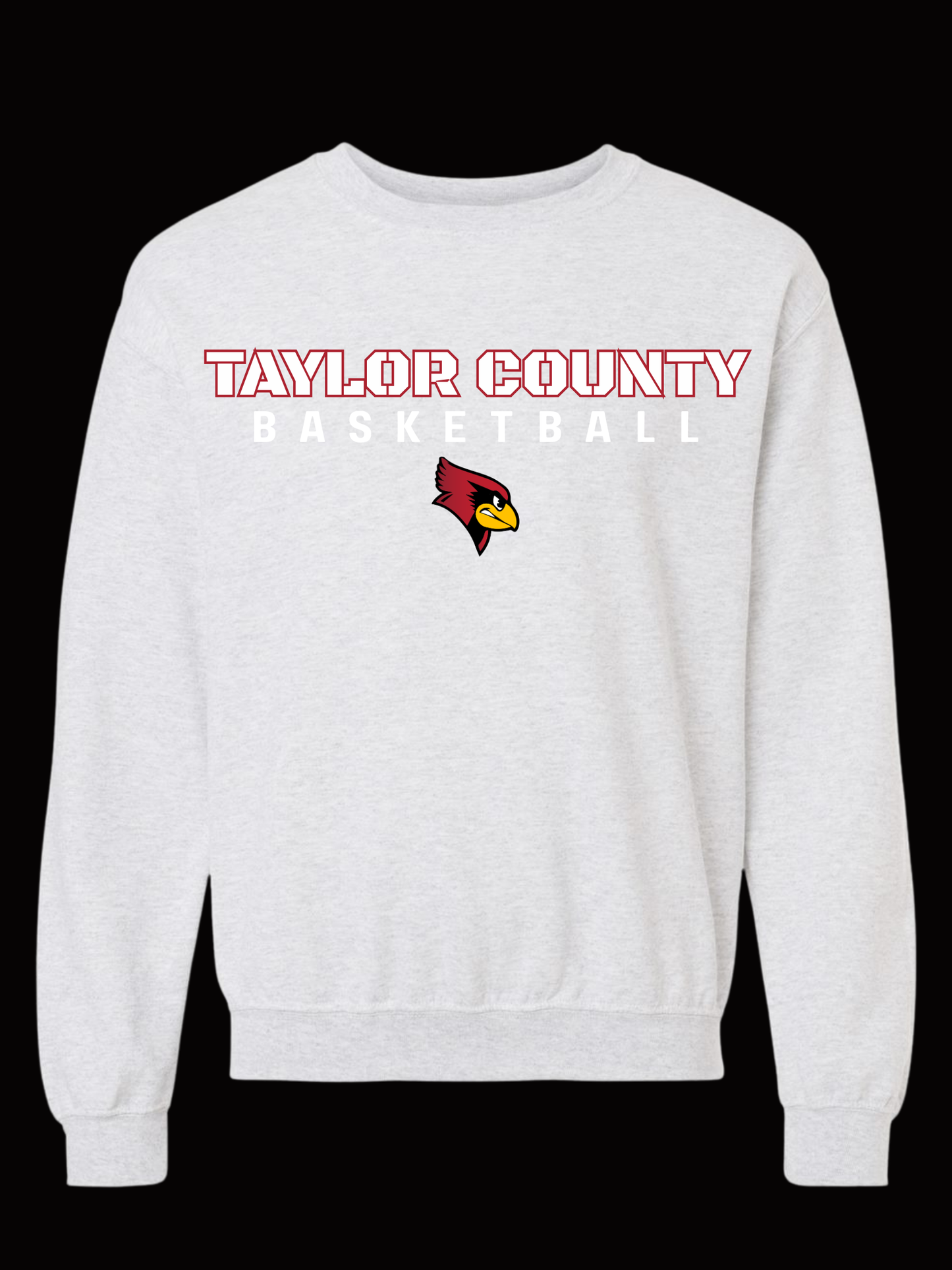Taylor County Basketball Design #2
