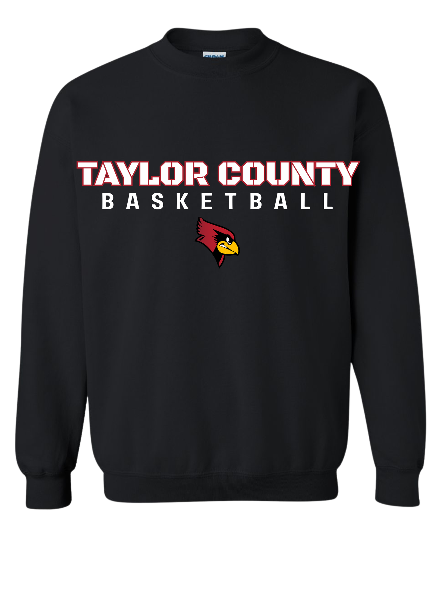 Taylor County Basketball Design #2