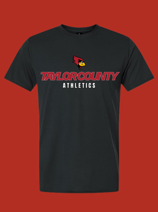 Taylor County Athletics Design
