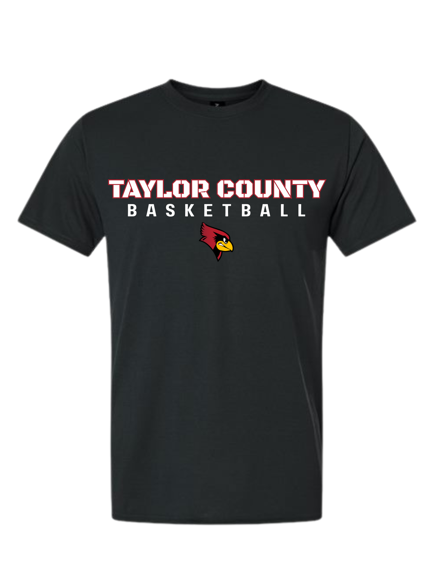 Taylor County Basketball Design #2