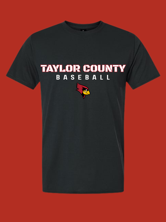 Taylor County Baseball Design
