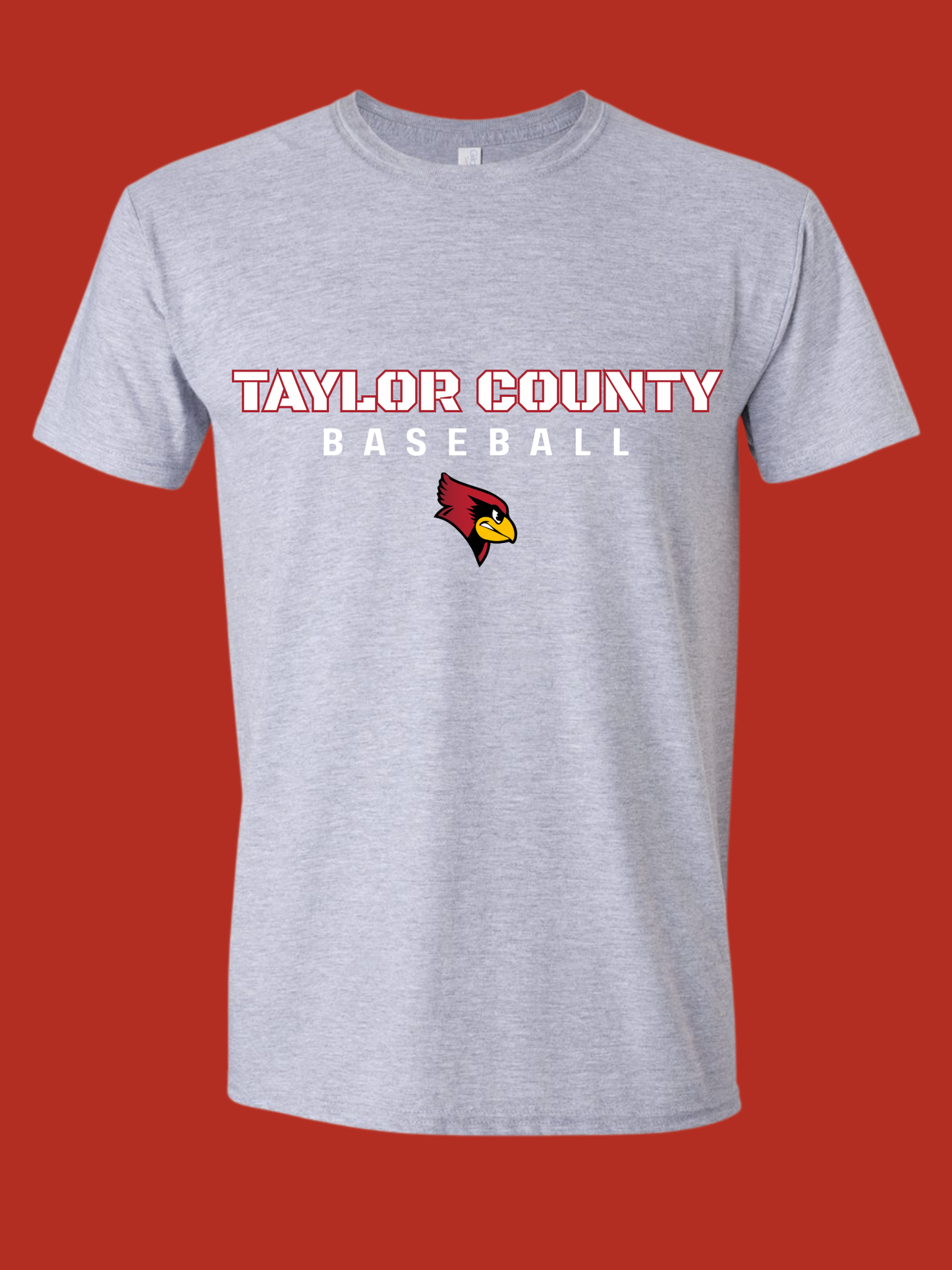 Taylor County Baseball Design