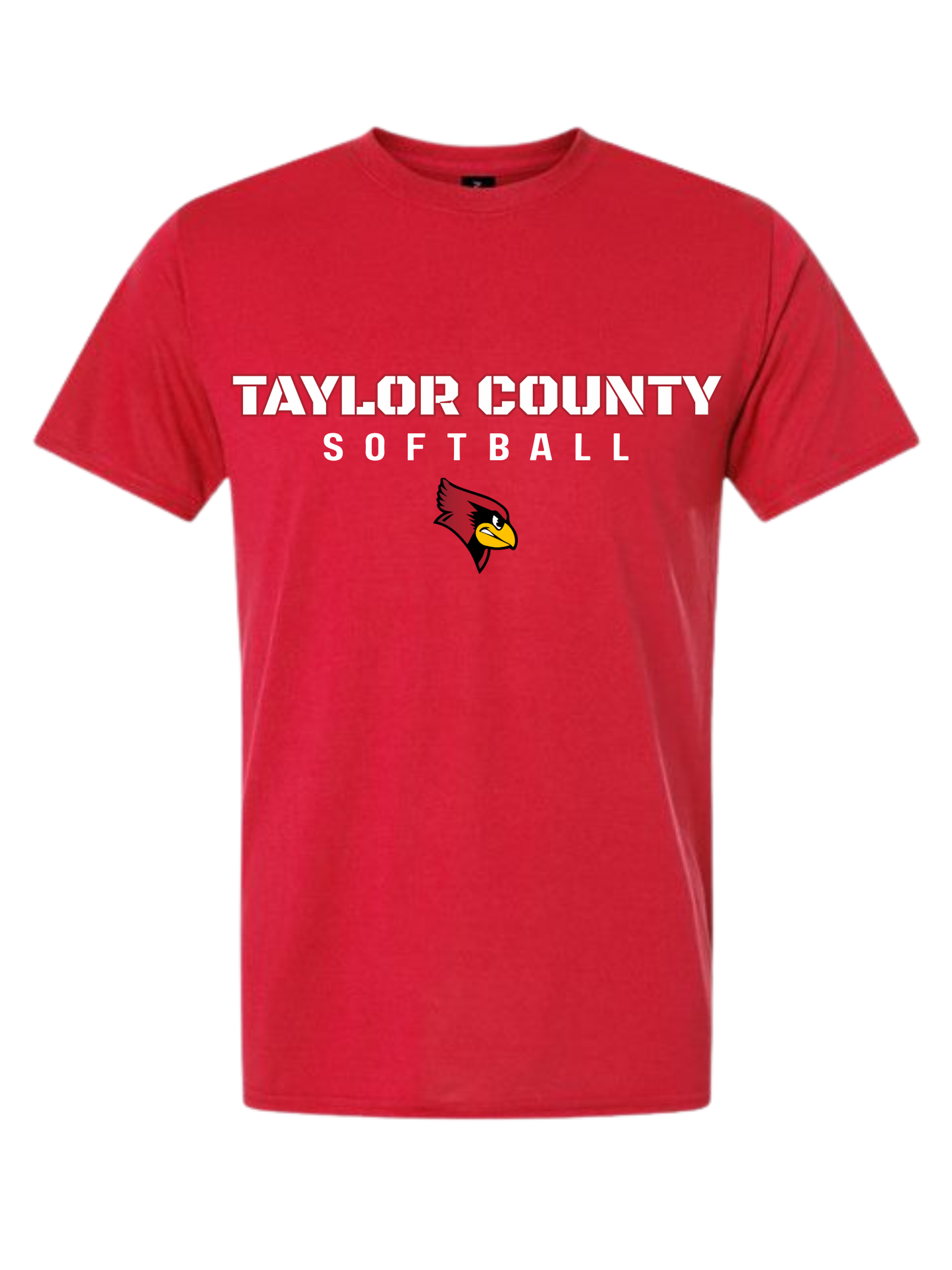 Taylor County Softball Design