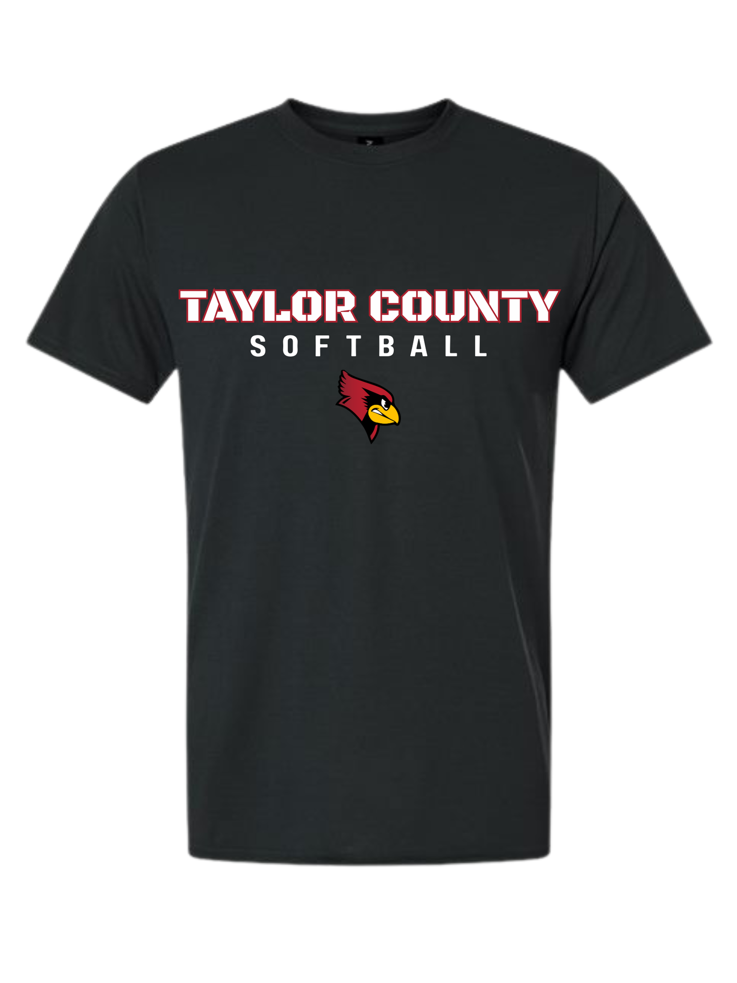 Taylor County Softball Design